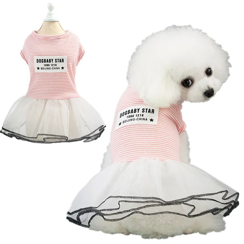 Spring and summer dress small dog pet clothing