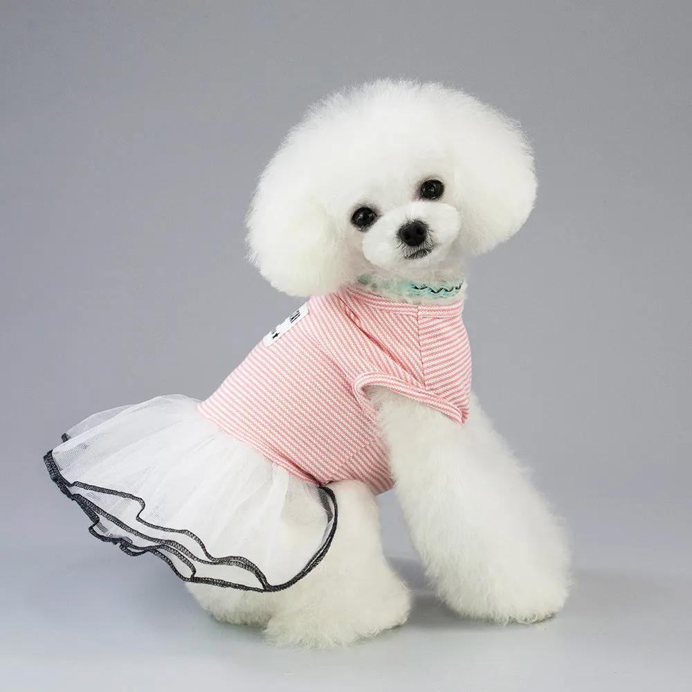 Spring and summer dress small dog pet clothing