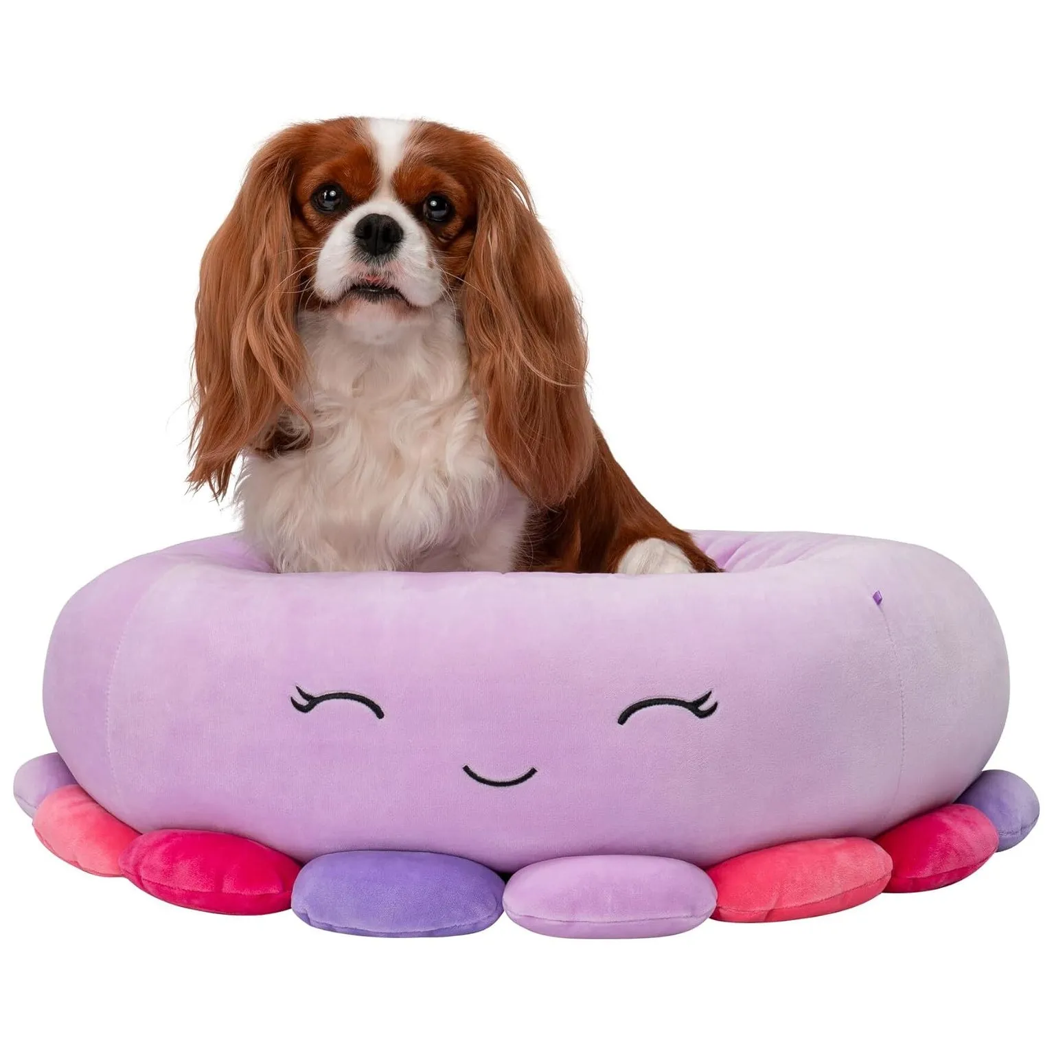 Squishmallows Pet Beds Beula the Octopus 3 Sizes