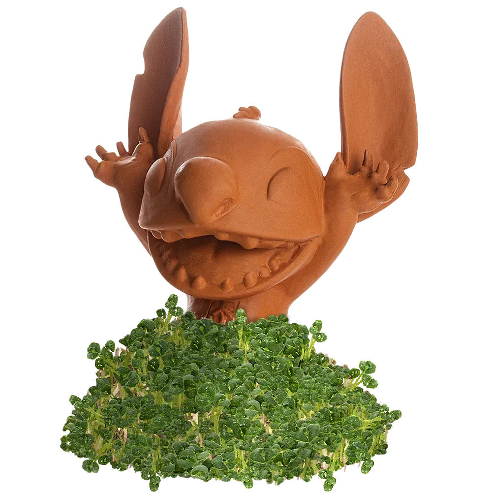 STITCH CHIA PET (LILO & STITCH)