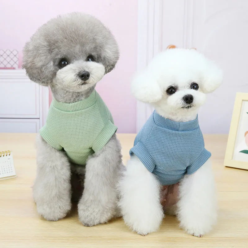 Summer T-shirt pet clothing