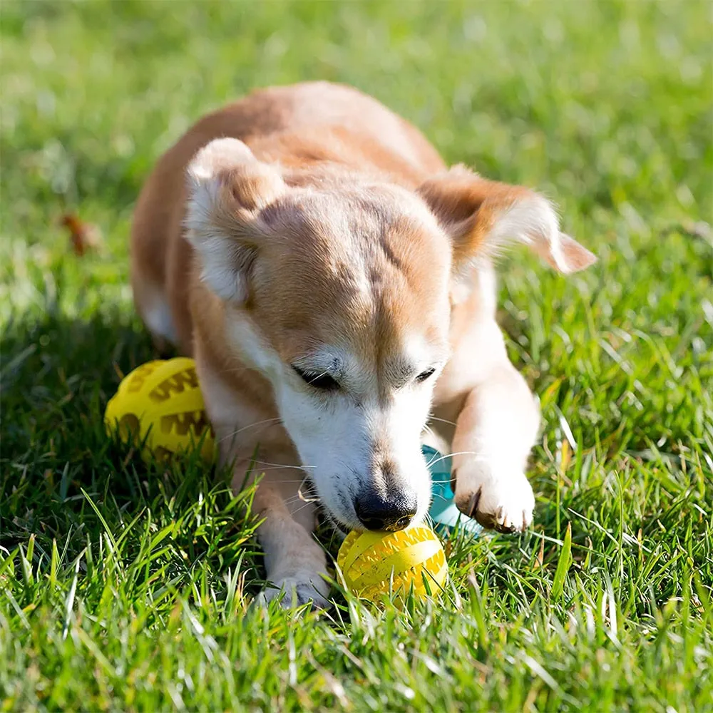 Toys for Dogs Rubber Dog Ball for Puppy Funny Dog Toys for Pet Puppies Large Dogs Tooth Cleaning Snack Ball Toy for Pet