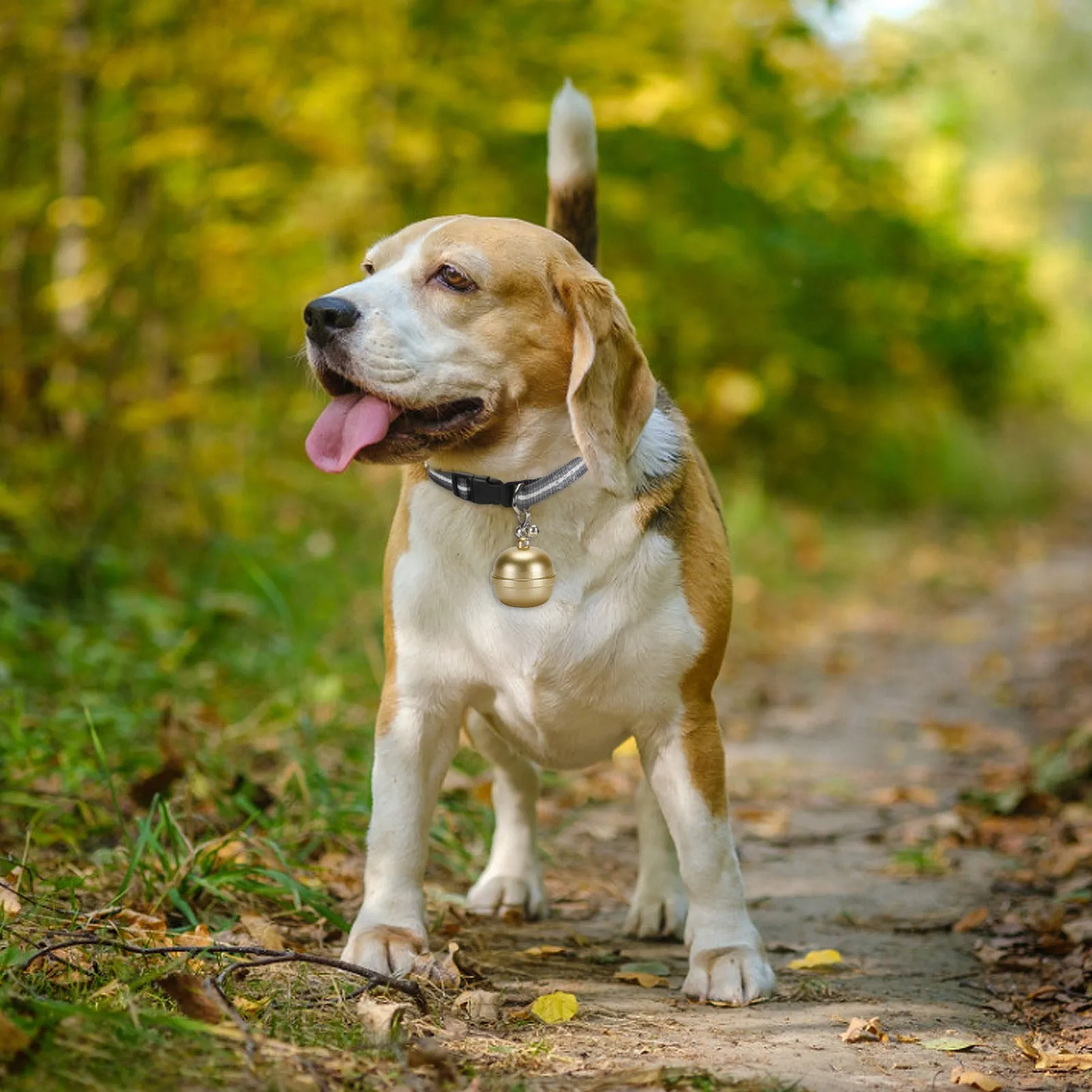 Waterproof Tracker Pet Locator Pet Collar Bell Anti-Loss Device