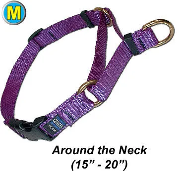 Webbing Cetacea Soft Medium Martingale